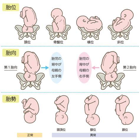 足閉じ正常位|普通正常位の時って女はカエルみたいな格好で足ひろげるじゃな。